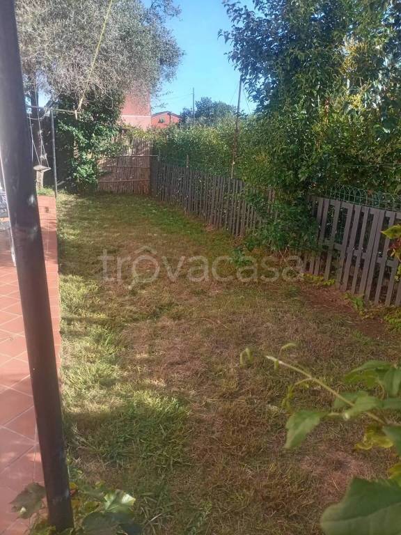appartamento in affitto a Castelnuovo Magra in zona Molicciara
