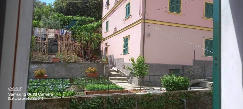 immagine annuncio 0 di 14