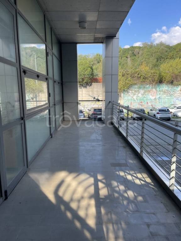 appartamento in affitto a La Spezia