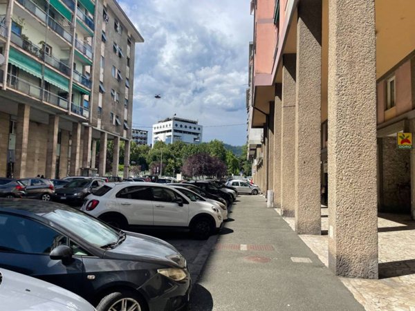 negozio in affitto a La Spezia in zona Valdellora