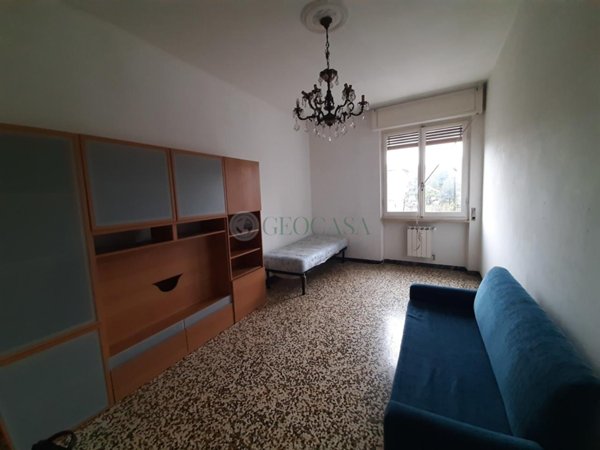 appartamento in affitto a La Spezia
