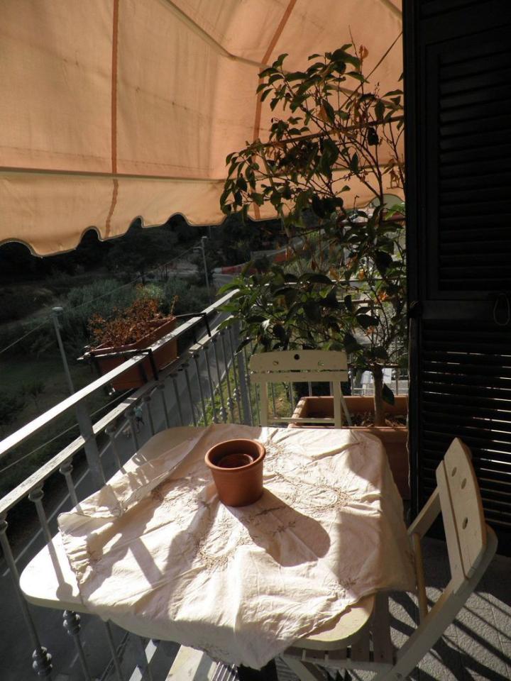 appartamento in affitto a La Spezia in zona Canaletto / Buonviaggio / Migliarina