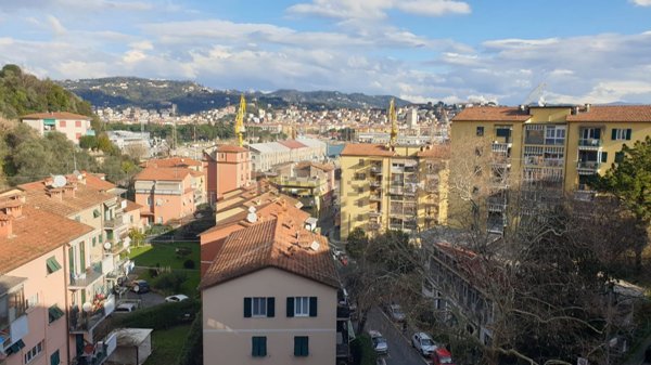 appartamento in affitto a La Spezia