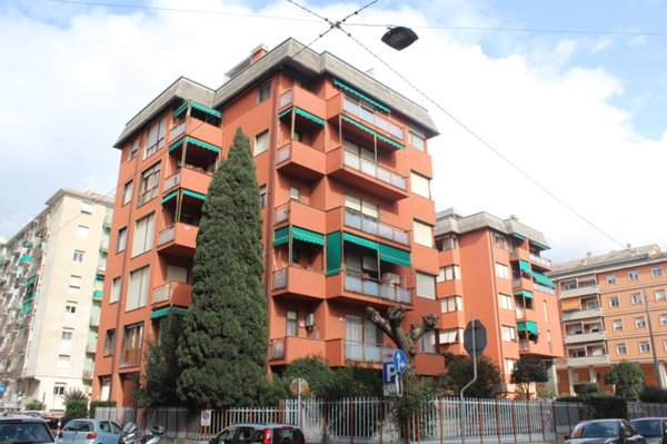 appartamento in affitto a La Spezia in zona Canaletto / Buonviaggio / Migliarina