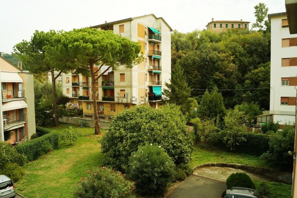 appartamento in affitto a La Spezia in zona Chiappa