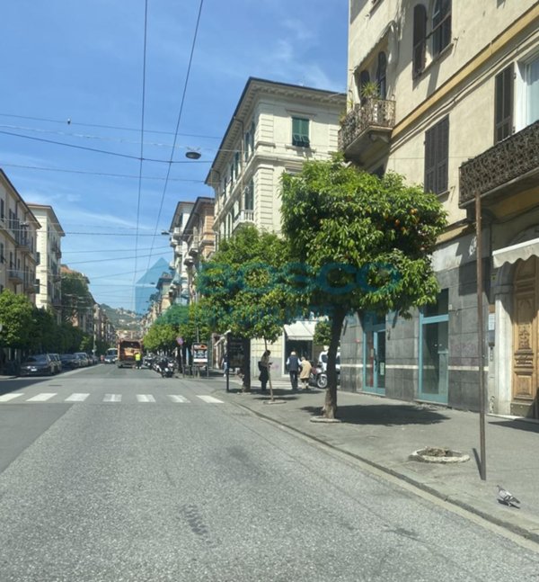 locale di sgombero in affitto a La Spezia in zona Centro Storico