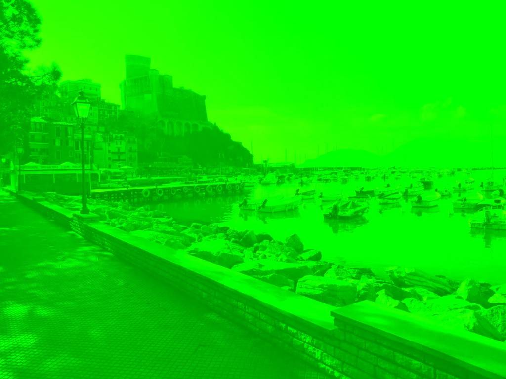 negozio in affitto a Lerici
