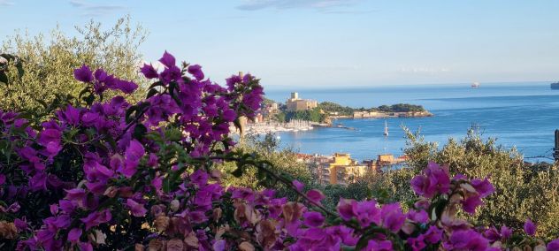 appartamento in affitto a Lerici