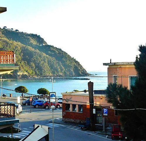 immagine annuncio 0 di 15