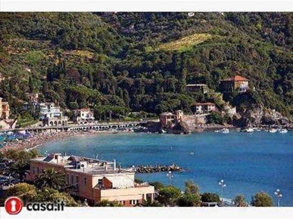 appartamento in affitto a Levanto