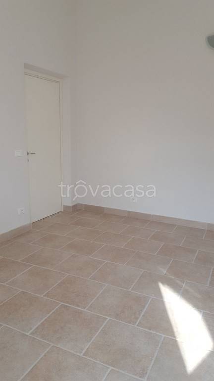 appartamento in affitto a Luni