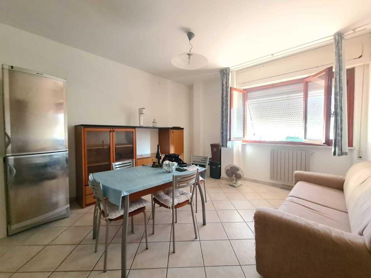 appartamento in affitto a Luni