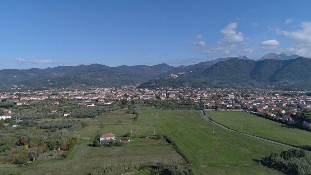 appartamento in affitto a Luni