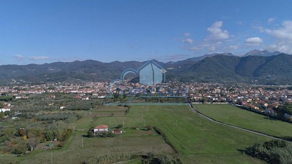 appartamento in affitto a Luni