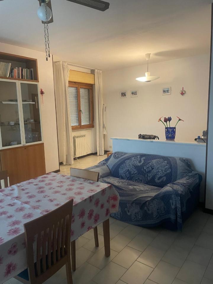 appartamento in affitto a Luni