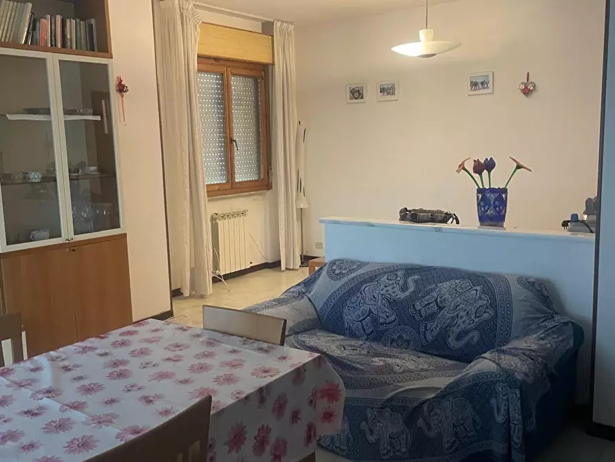 appartamento in affitto a Luni