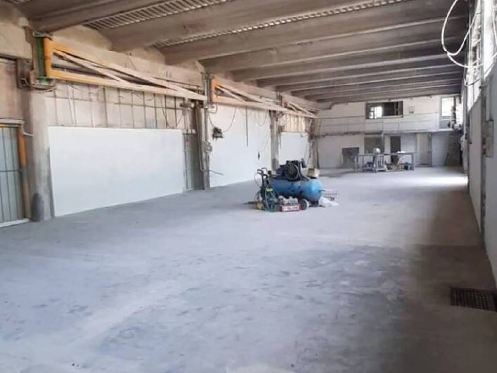 appartamento in affitto a Luni in zona Dogana