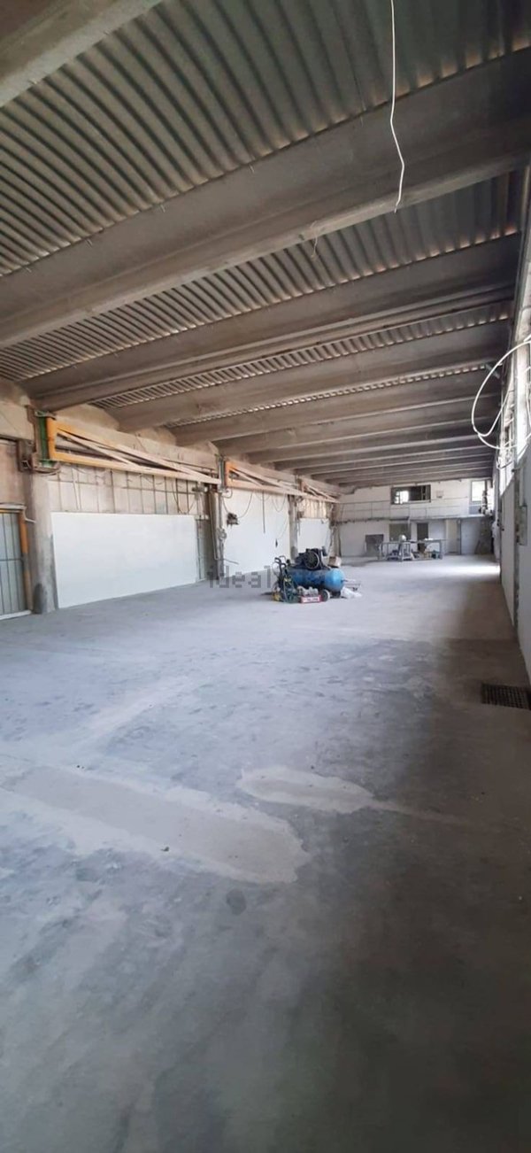 capannone in affitto a Luni in zona Dogana