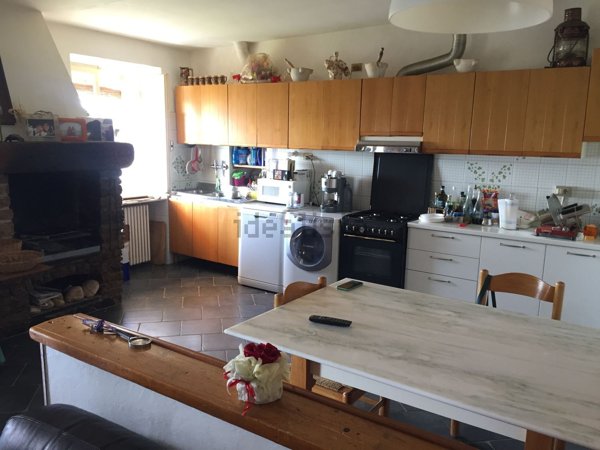 quadrivano in affitto a Luni