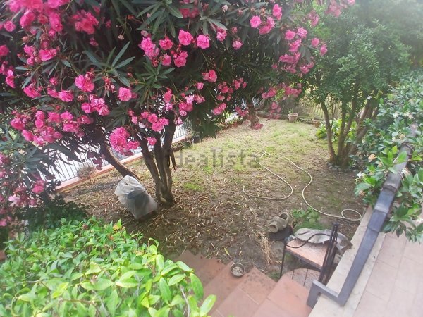 appartamento in affitto a Luni