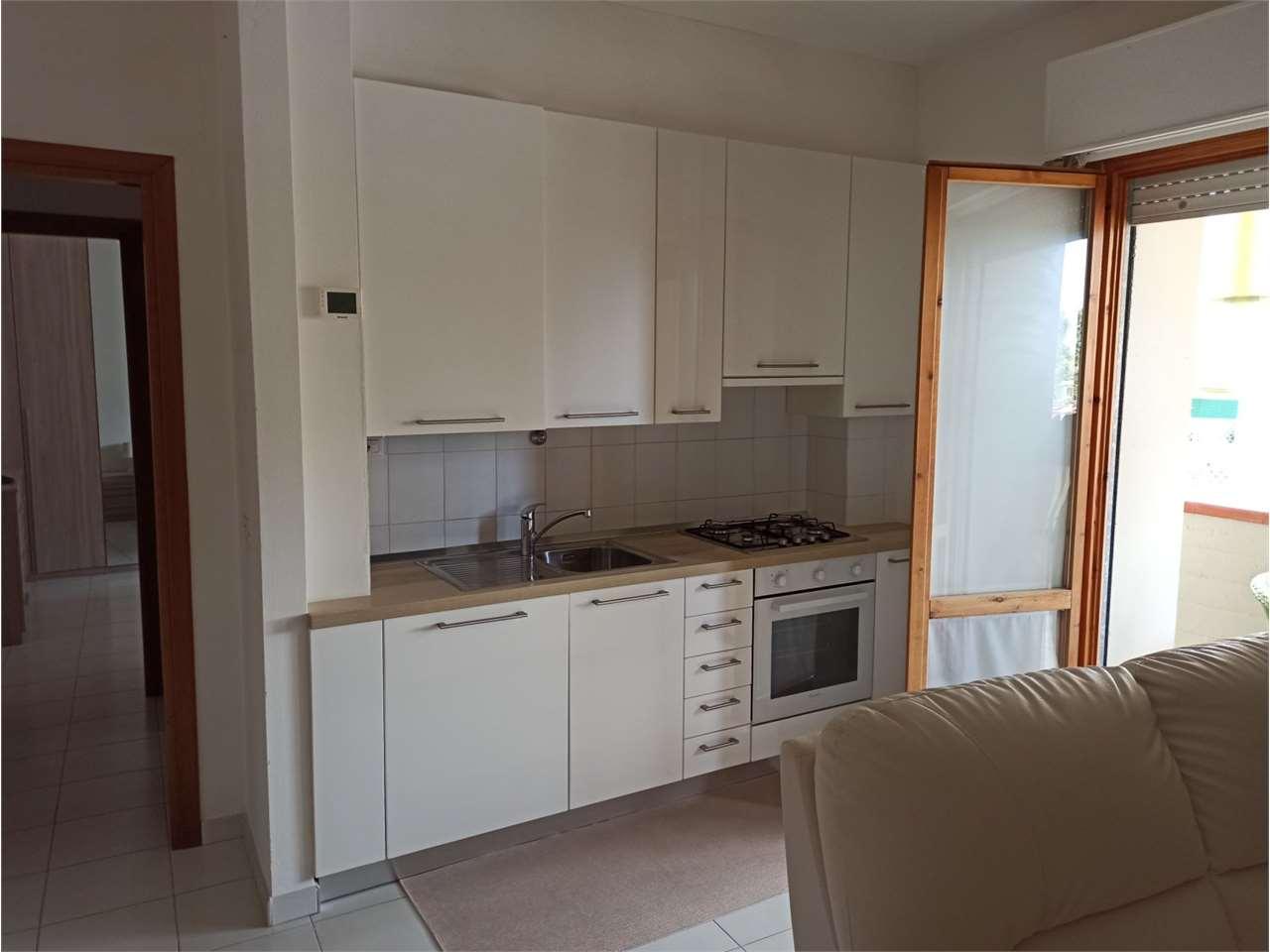 appartamento in affitto a Luni