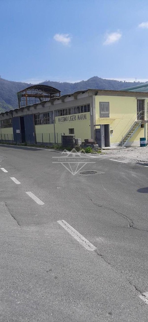 capannone in affitto a Luni