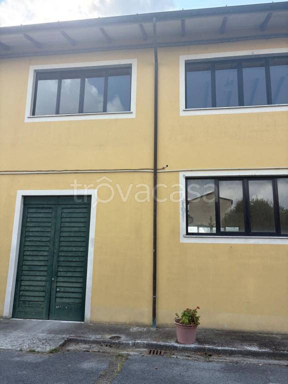 locale commerciale in affitto a Luni in zona Isola