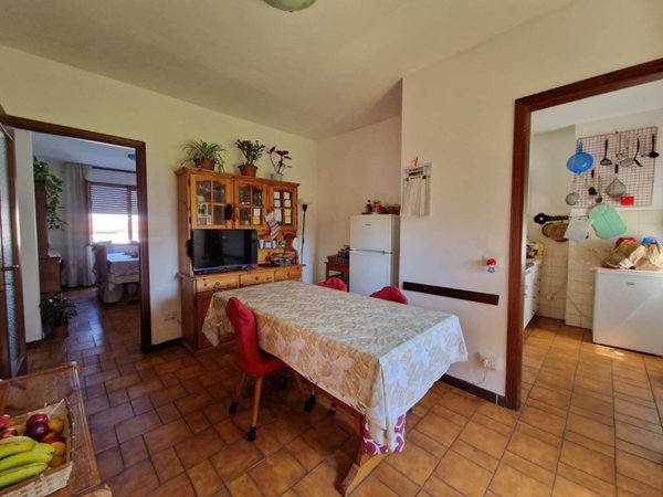 appartamento in affitto a Luni in zona Luni
