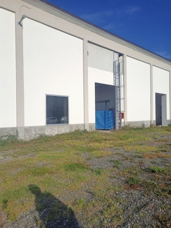 immagine annuncio 0 di 1