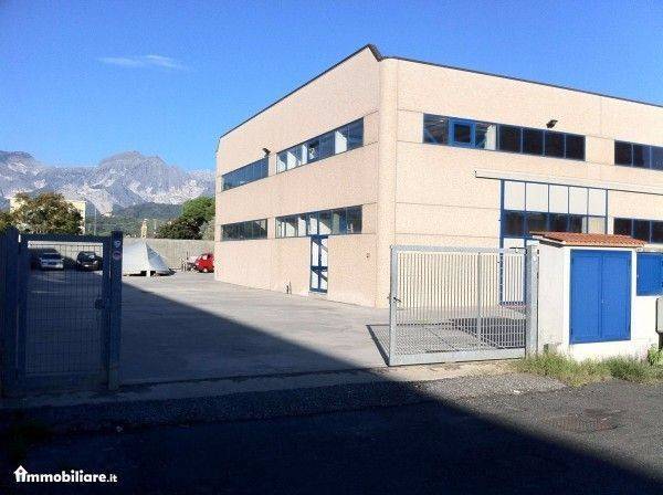 appartamento in affitto a Sarzana