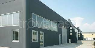 appartamento in affitto a Sarzana