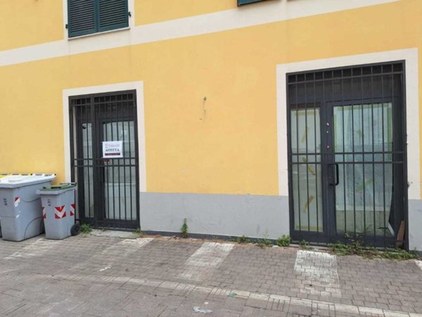 negozio in affitto a Sarzana