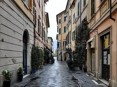 appartamento in affitto a Sarzana