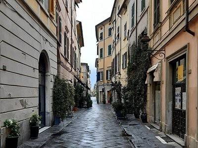negozio in affitto a Sarzana