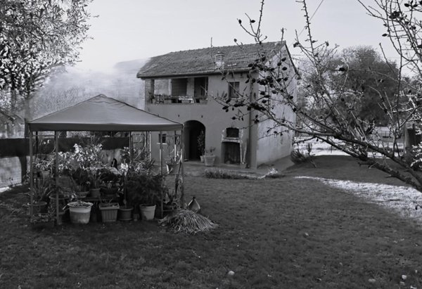 casa indipendente in affitto a Sarzana in zona San Lazzaro