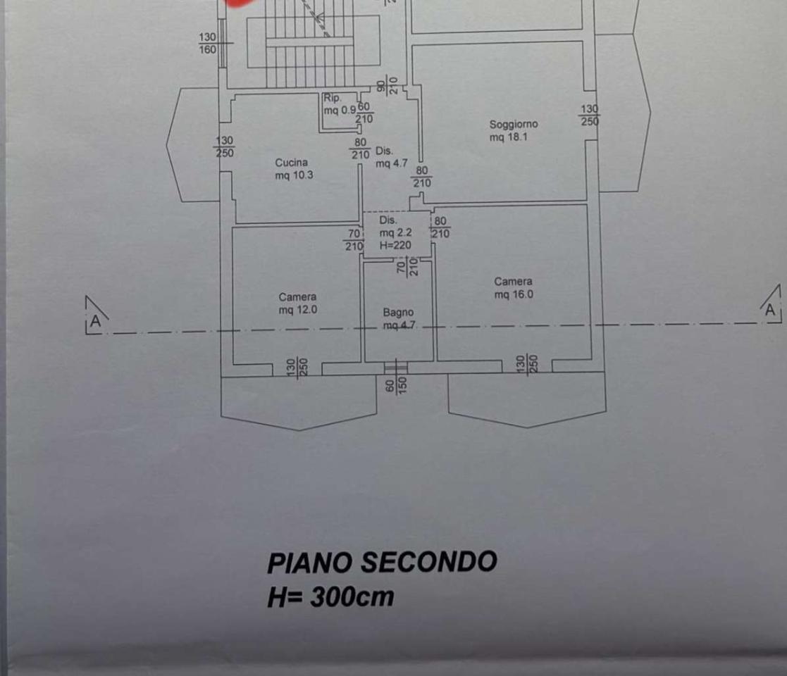 appartamento in affitto a Sarzana