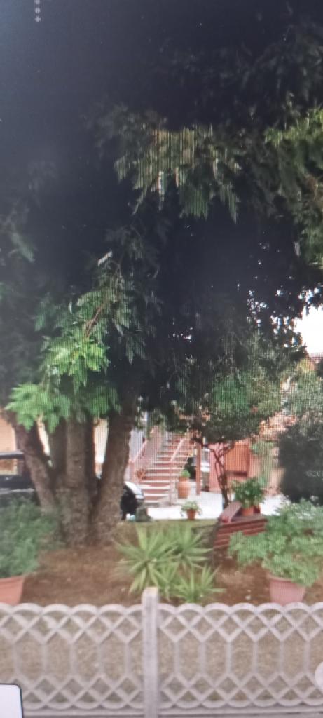 casa indipendente in affitto a Sarzana