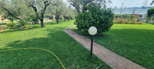 appartamento in affitto a Sarzana