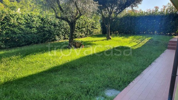 appartamento in affitto a Sarzana