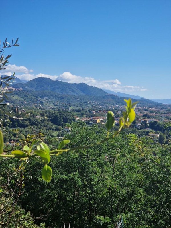 appartamento in affitto a Sarzana