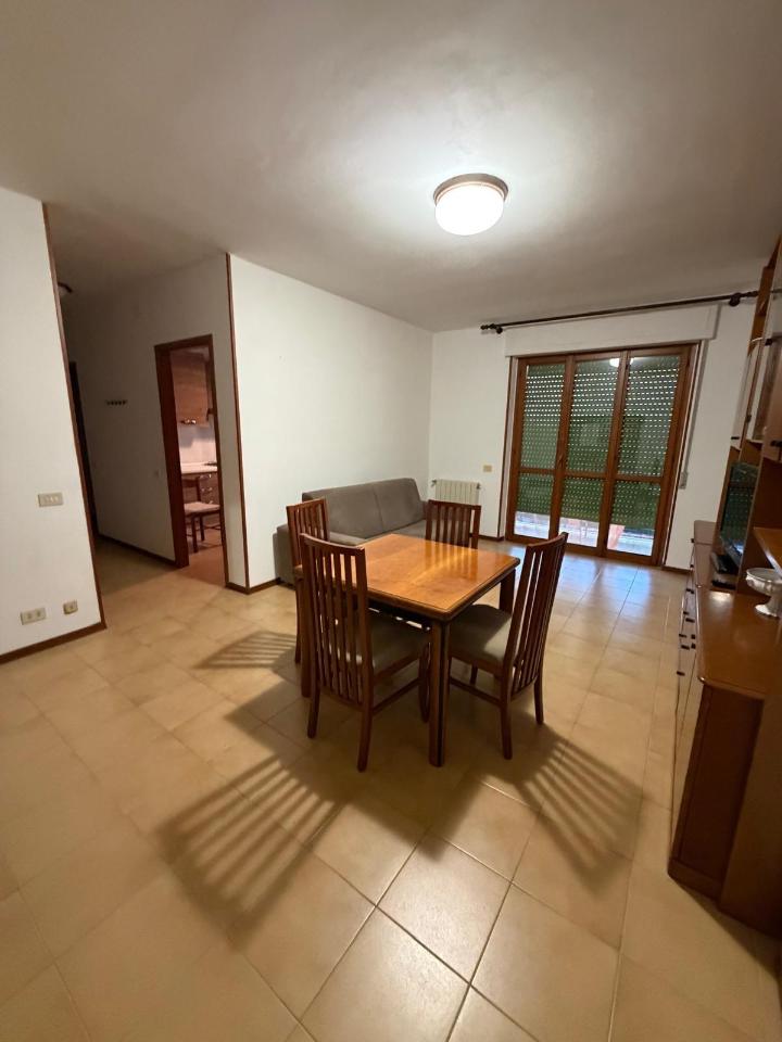 appartamento in affitto a Sarzana