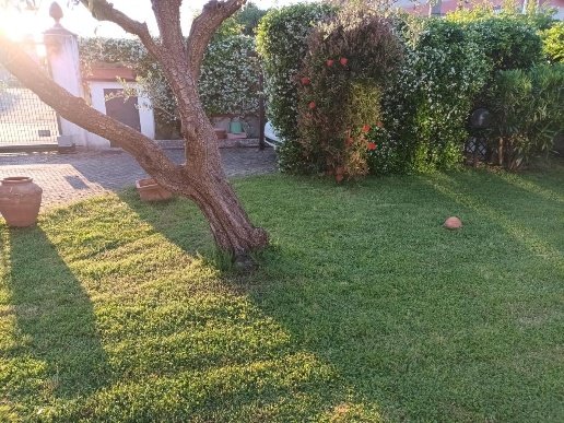 casa indipendente in affitto a Sarzana