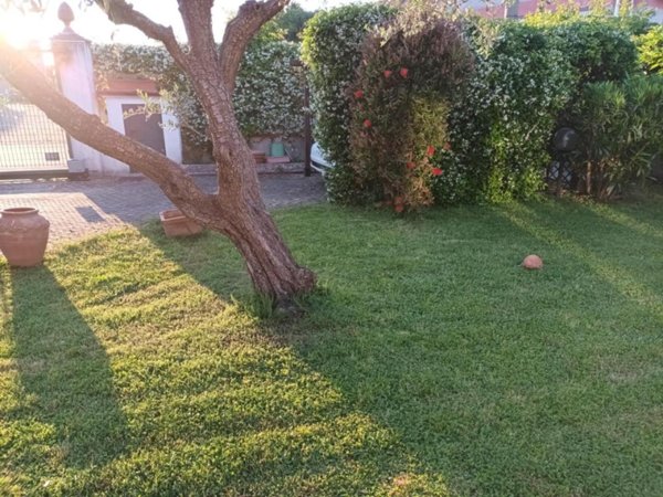 casa indipendente in affitto a Sarzana