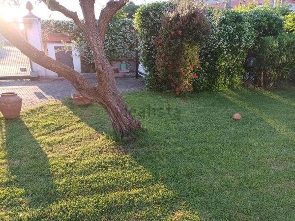 casa semindipendente in affitto a Sarzana