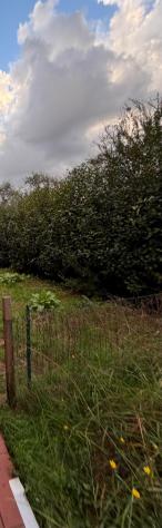 casa indipendente in affitto a Sarzana in zona San Lazzaro