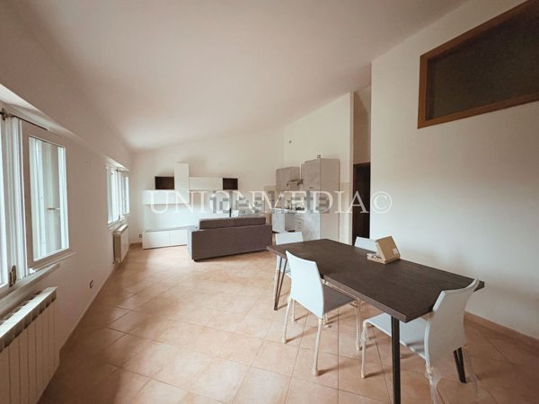 appartamento in affitto a Sarzana