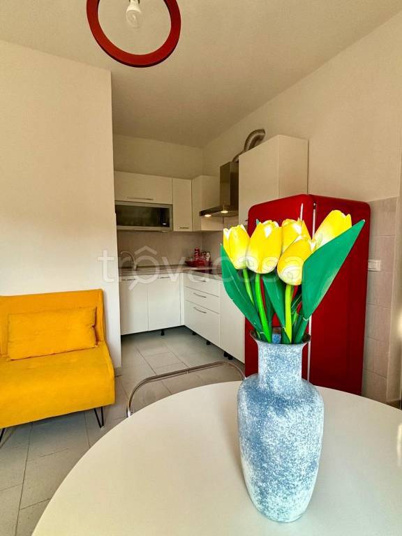 appartamento in affitto a Sarzana