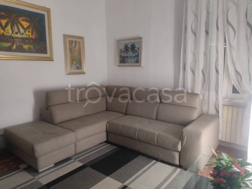 appartamento in affitto a Sarzana