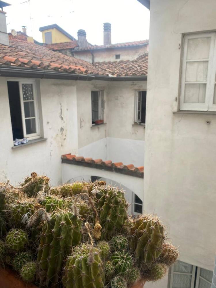 appartamento in affitto a Sarzana
