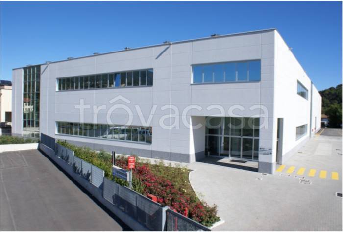 appartamento in affitto a Barasso